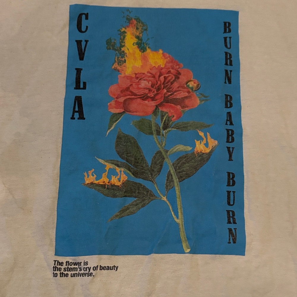 Graphic Shirt bundle (4 shirts size 2XL) - Picture 9 of 17